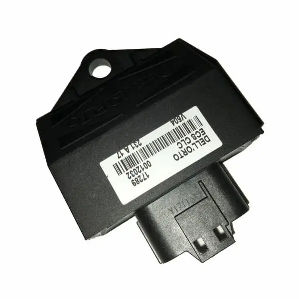 ECU Dellorto Scooter