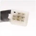 Compteur KM Compteur Kilométrique Cockpit Scooter Rétro AGM FOSTI BTC IVA VOM ED (prise femelle euro2)