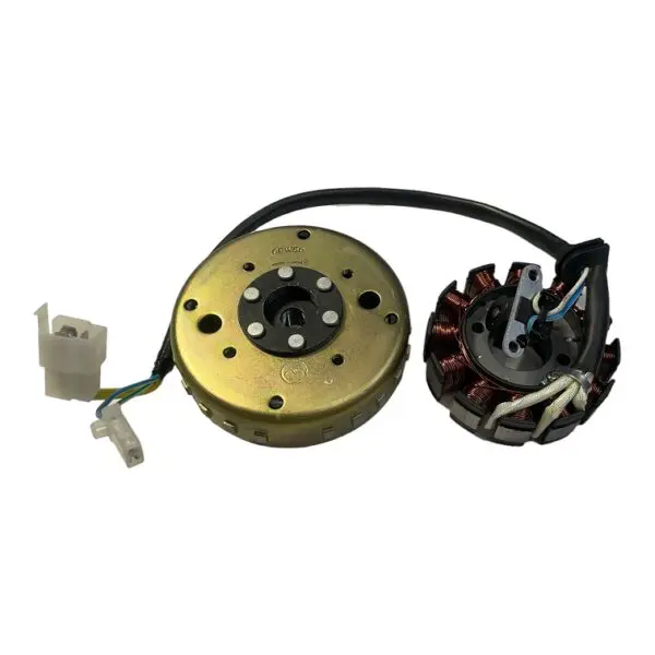 Allumage RONGMAO EFI EURO4 & EURO5 CHINE SCOOTER | LA SOURIS, SENZO, TYM, RIYA, FAST, LEOPARD, SANTINI