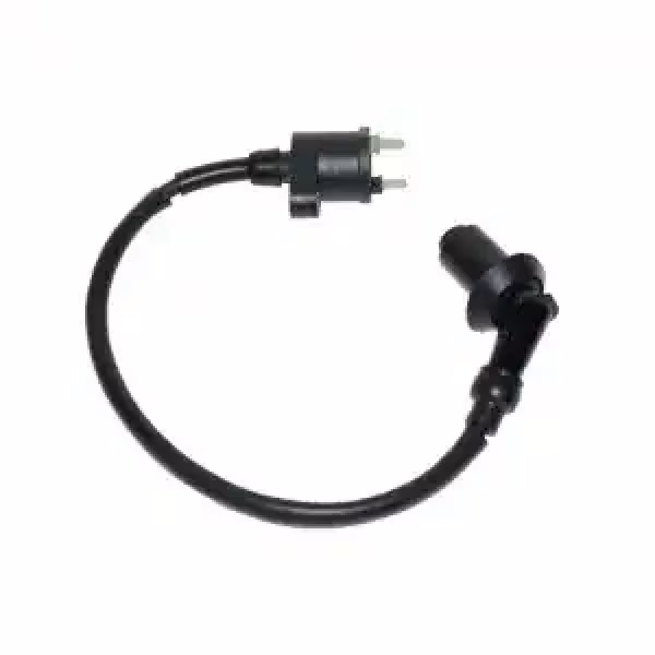 Buy Electronics + Lighting Retro Scooter at China Scooter Parts