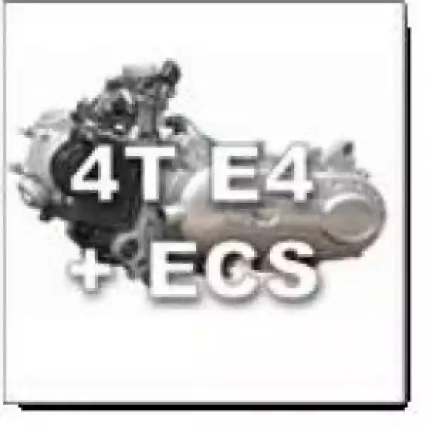 Motor-Euro4-4takt-ECS-300x300