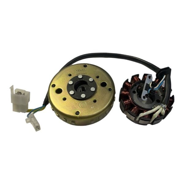 Zündung RONGMAO EFI EURO4 & EURO5 CHINA SCOOTER | LA SOURIS, SENZO, TYM, RIYA, FAST, LEOPARD, SANTINI