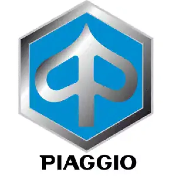 Achetez des scooters Piaggio chez China Scooter Parts