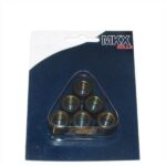 Vario Rollen Gewichtjes 16x13 GY6 (5.0gr) voor euro5 GY6 scooter