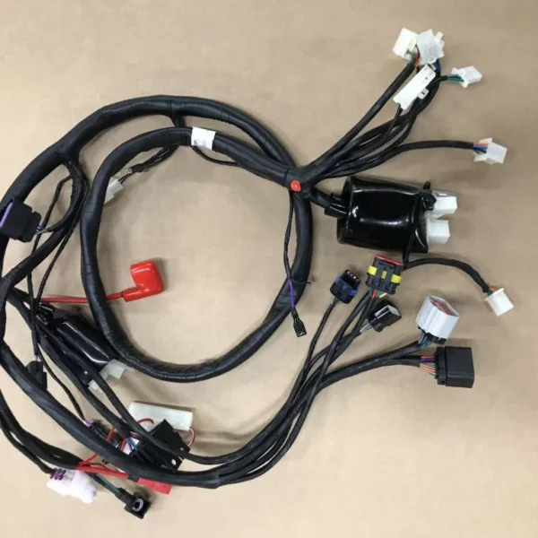 Faisceau de câblage scooter rétro euro4 Rongmao ECU Senzo GT2