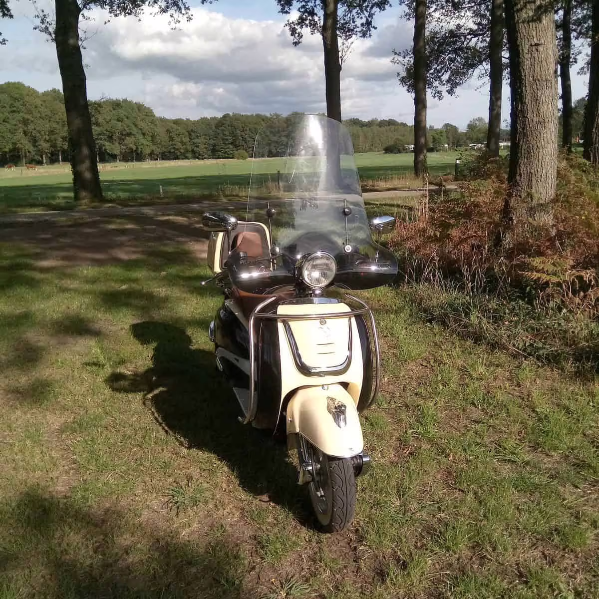 Afbeelding #1 van Wim. Gelderland Nederland (Noord-holland wrong)