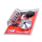 Malossi Race Koppeling GY6 BTC Riva, AGM VX50, IVA Lux, Senzo Riva Lux, La Souris Sourini